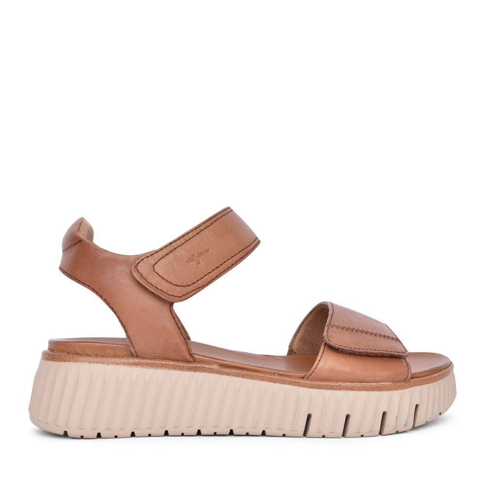 Ladies 8-88720 Velcro Sandal In Brown