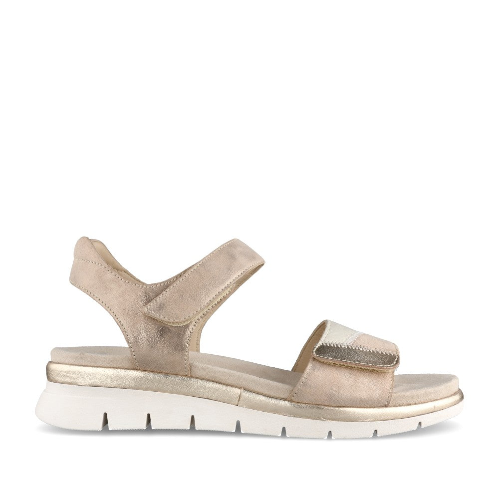 Ladies 12-26504 Cambridge Velcro Sandal In Metallic