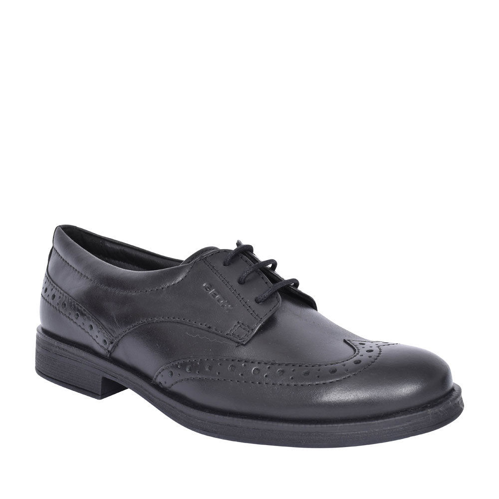 Girls J8449d Agata Laced Brogue Shoe  In Black