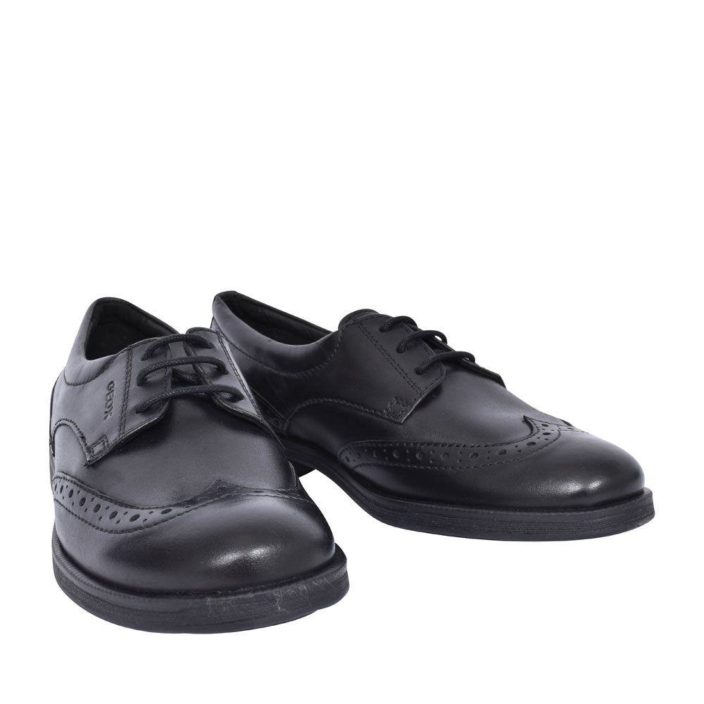 Girls J8449d Agata Laced Brogue Shoe  In Black