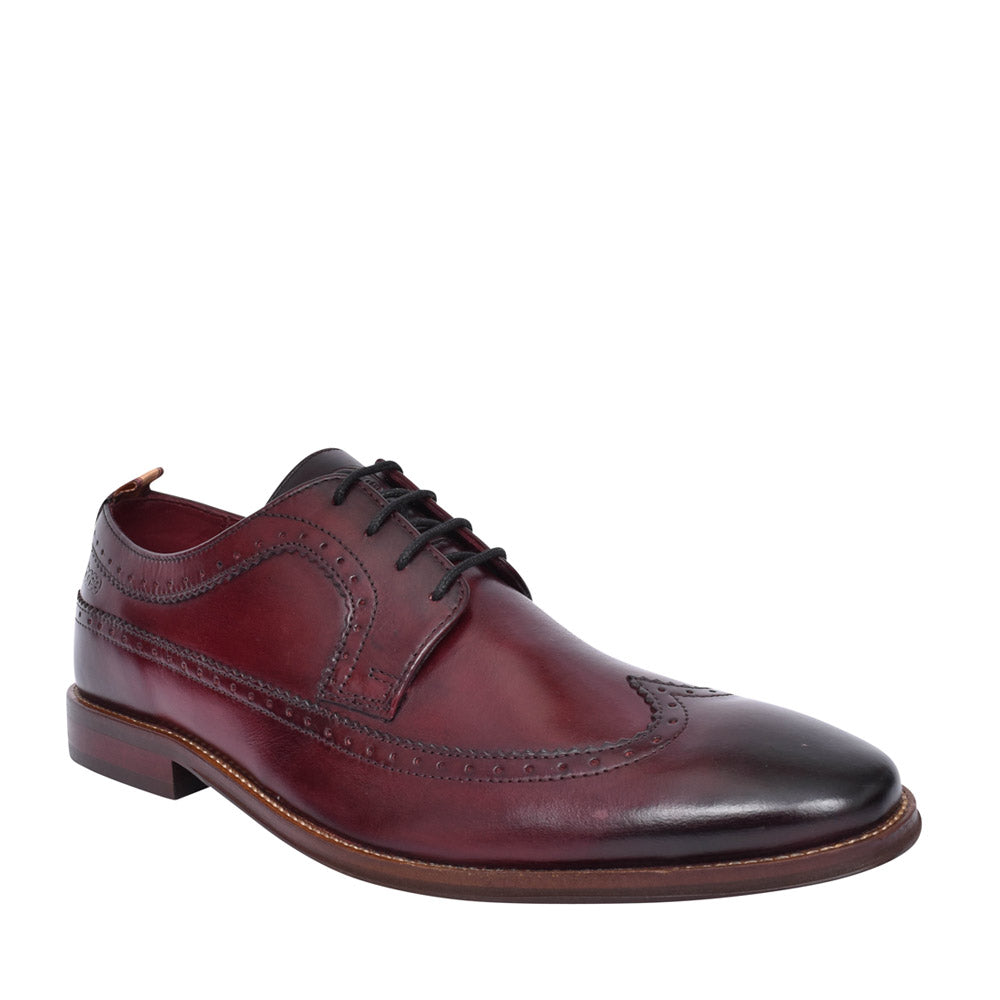 Mens Havisham Laced Shoe In Burgandy