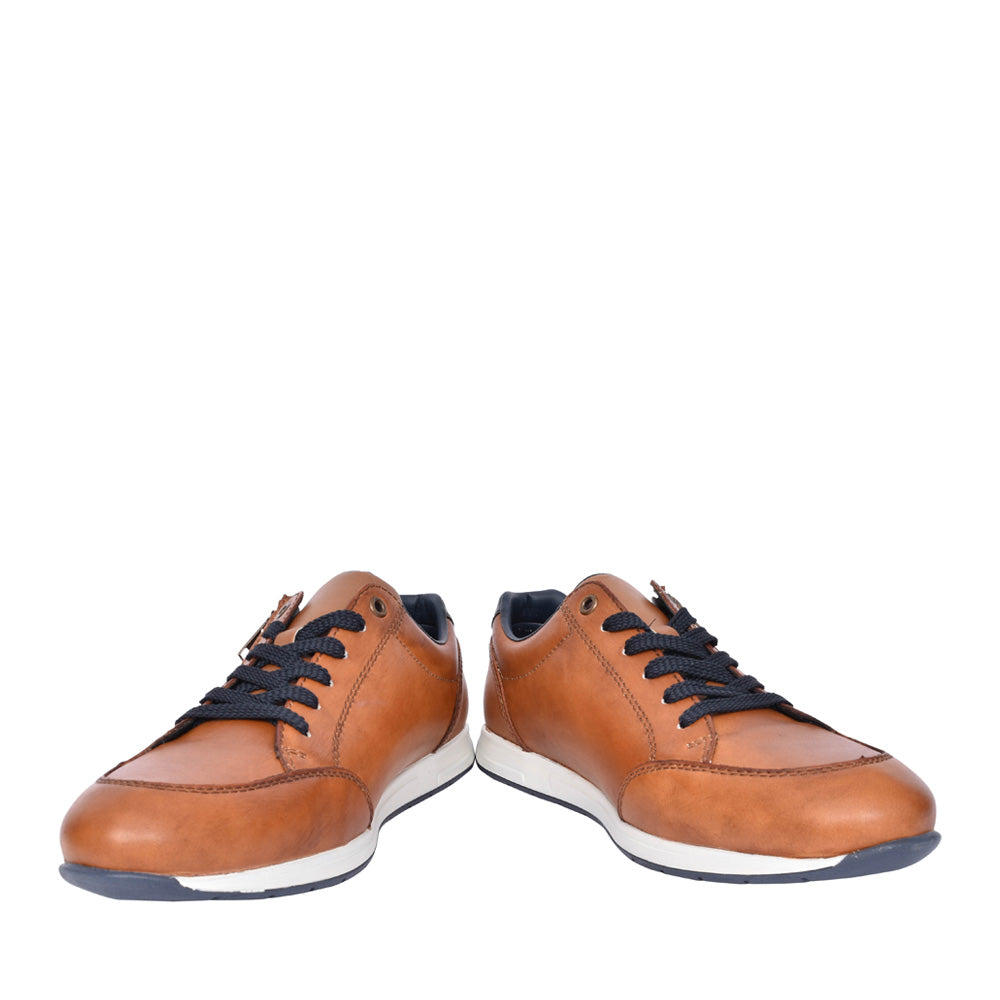 Mens 11903 Laced Shoe In Brown