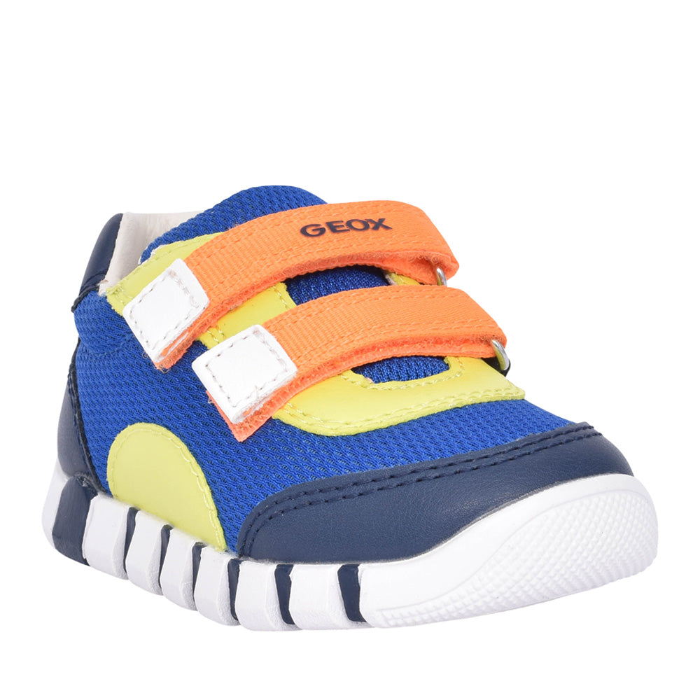 Boys B3555c B Iupidoo Velcro Trainer In Blue