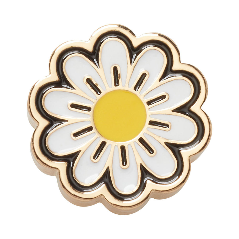 Elevated Daisy In Any