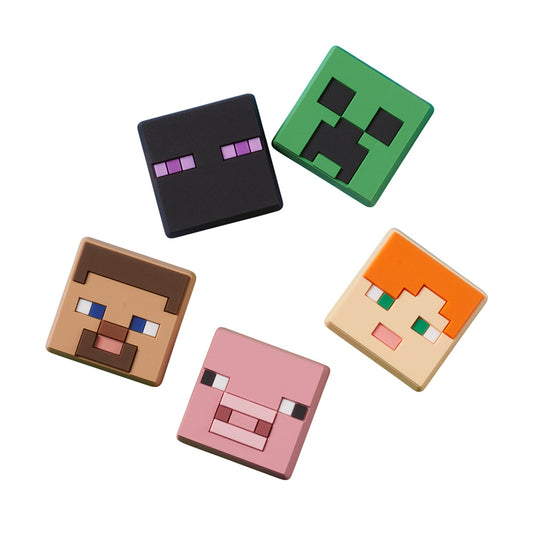 Minecraft 5 Pack In Any
