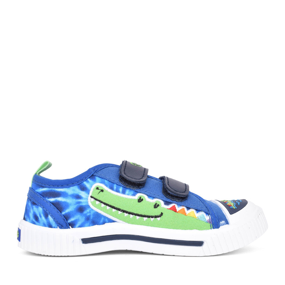 Boys Royce Velcro Canvas Shoe In Blue