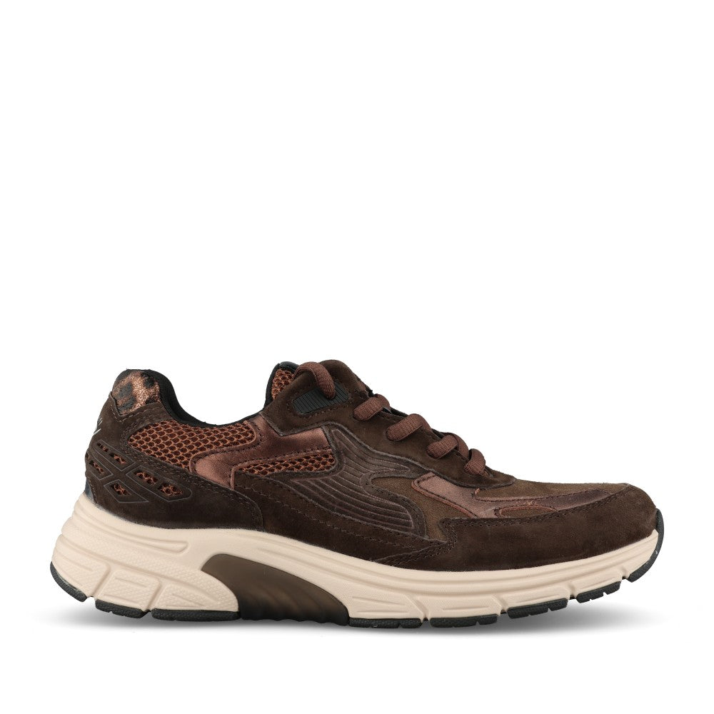 Gabor Ladies 0306.02 Precision Rollingsoft Trainer In English Brown/Brown