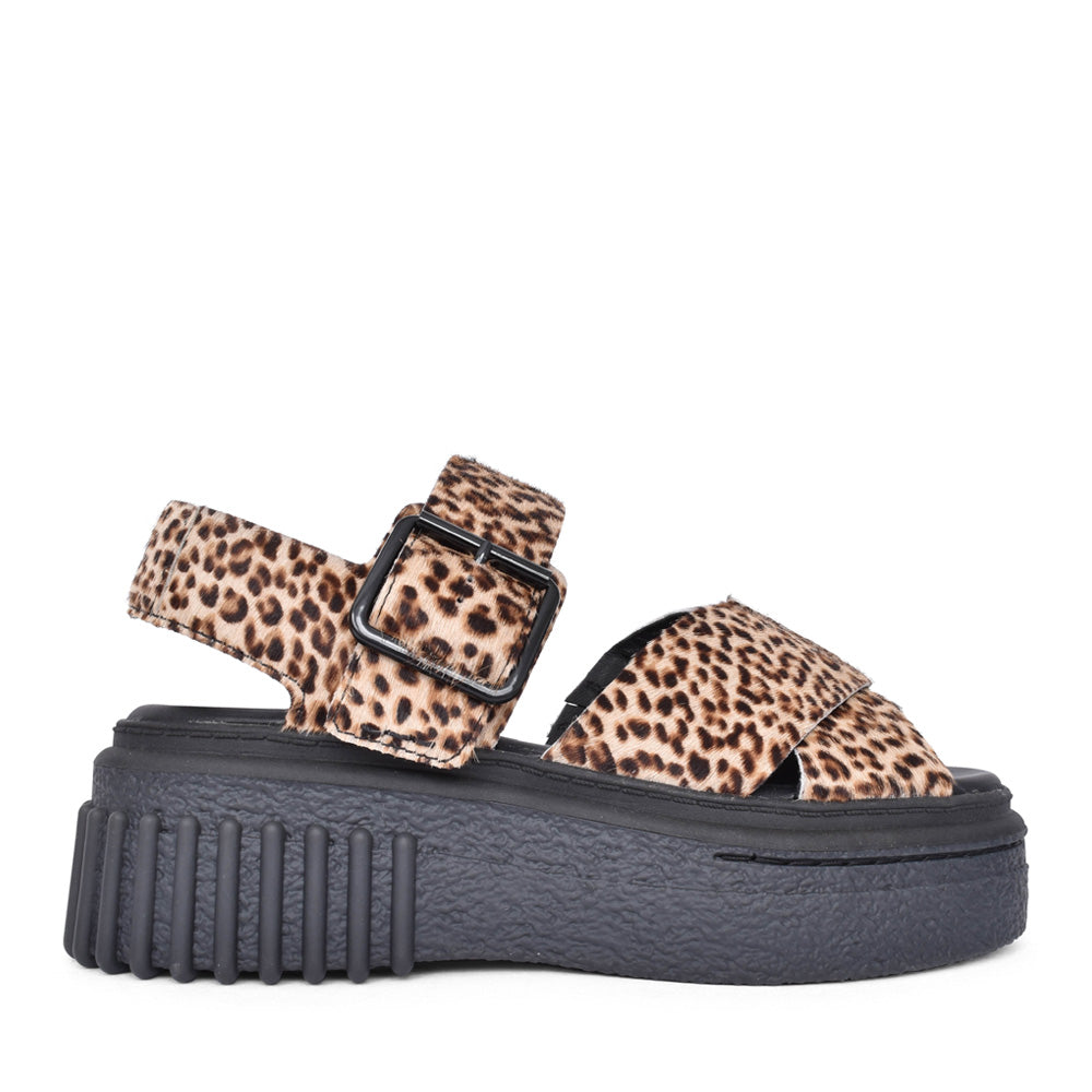 Ladies Evamar Wish D-fit Platform Sandal In Leopard