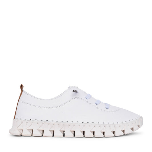 Ladies St Austell Fle046 Laced Shoe In White