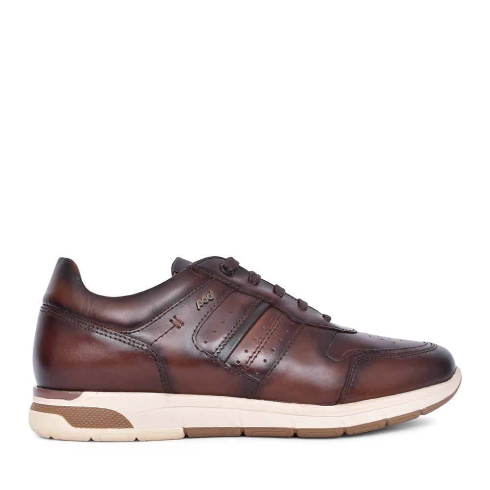 Mens Arrow Laced Shoe In Brown