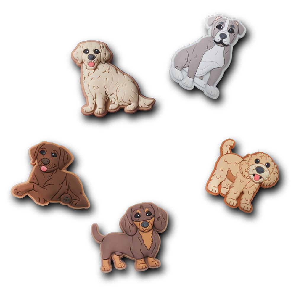 Doggie Doodle 5 Pack In Any