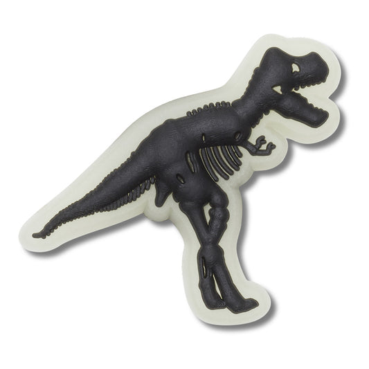 Glow In The Dark Dino In Any