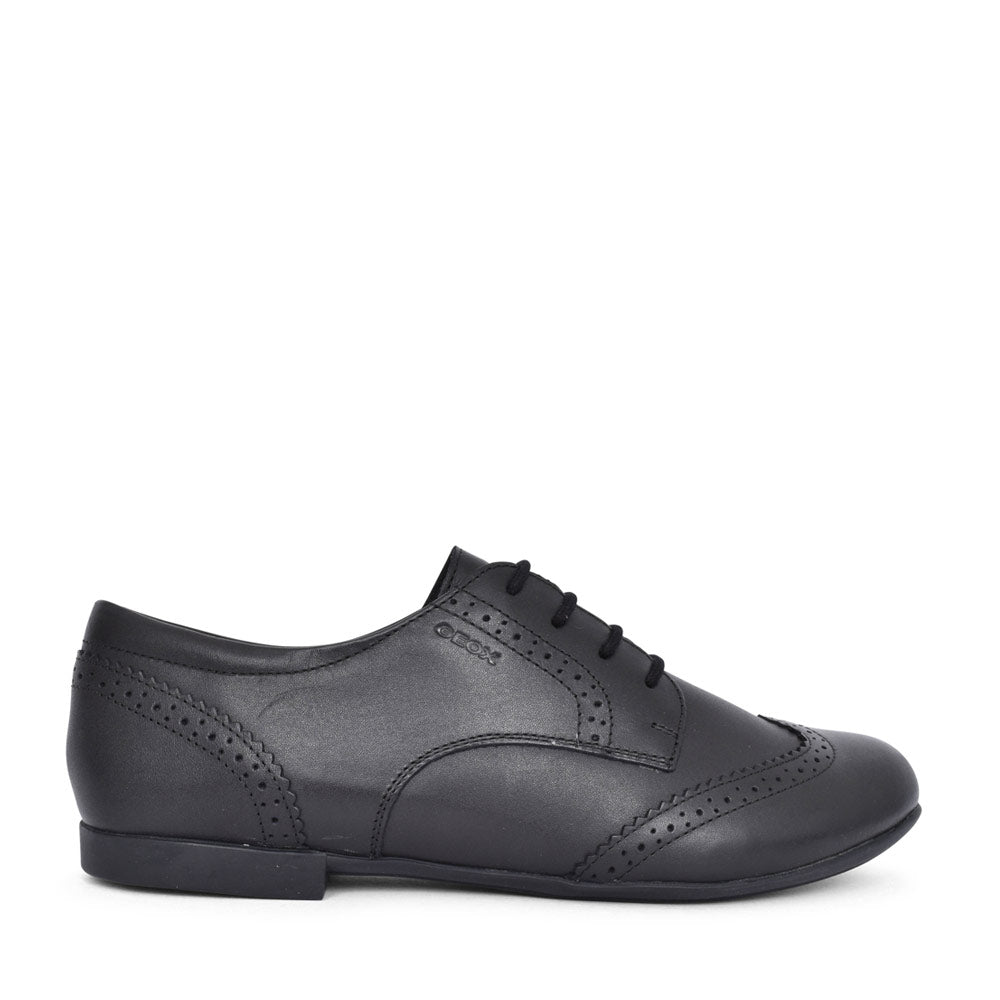 Plie Laced Brogue Shoe In Blk Leather