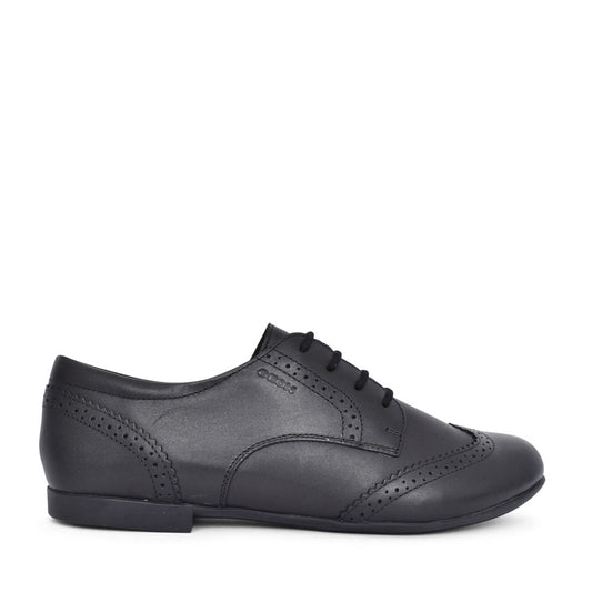 Plie Laced Brogue Shoe In Blk Leather
