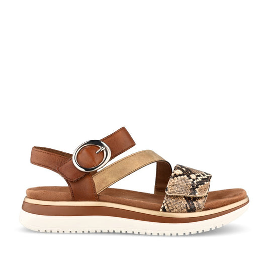 Ladies D1j64 Velcro Sandal In Brown-multi