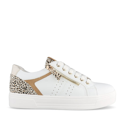 Ladies Presley Dlb101 Laced Trainer In White
