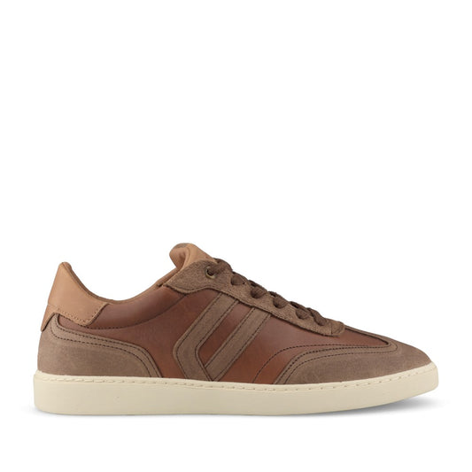 Mens Tizzano Laced Trainer In Brown