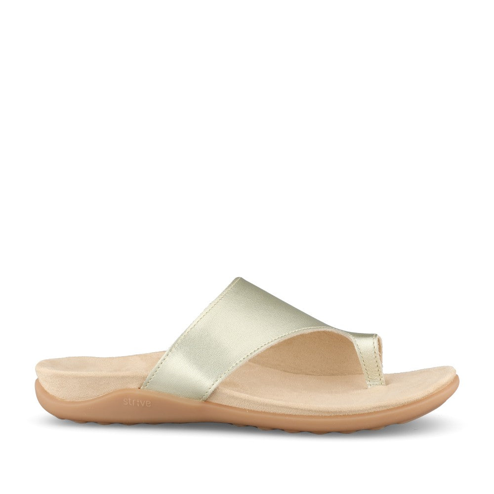 Ladies Capri 4 Mule In Gold
