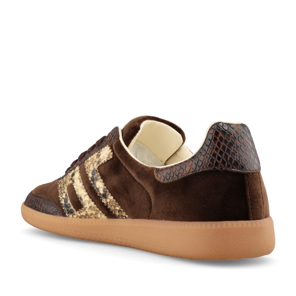 Back 70 Ladies Cloud FW26-V101 Trainer In Coffee