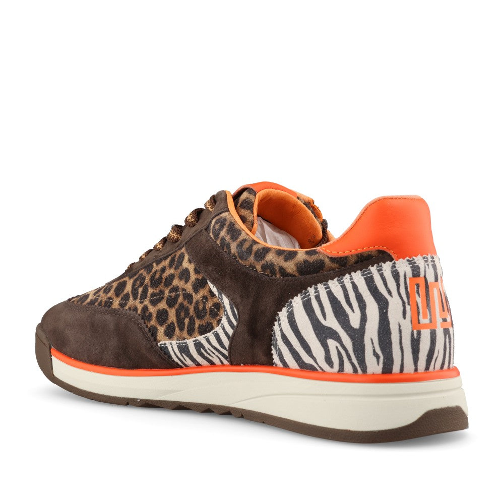 Waldlaufer Ladies 575001 Carmen H-Fit Laced Trainer In Brown & Leopard Multi