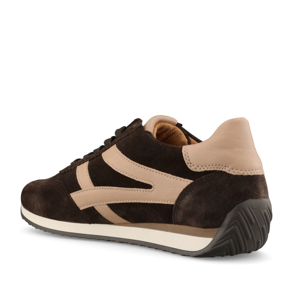 Gabor Ladies 6032.01 Globe Trainer In Brown/Beige