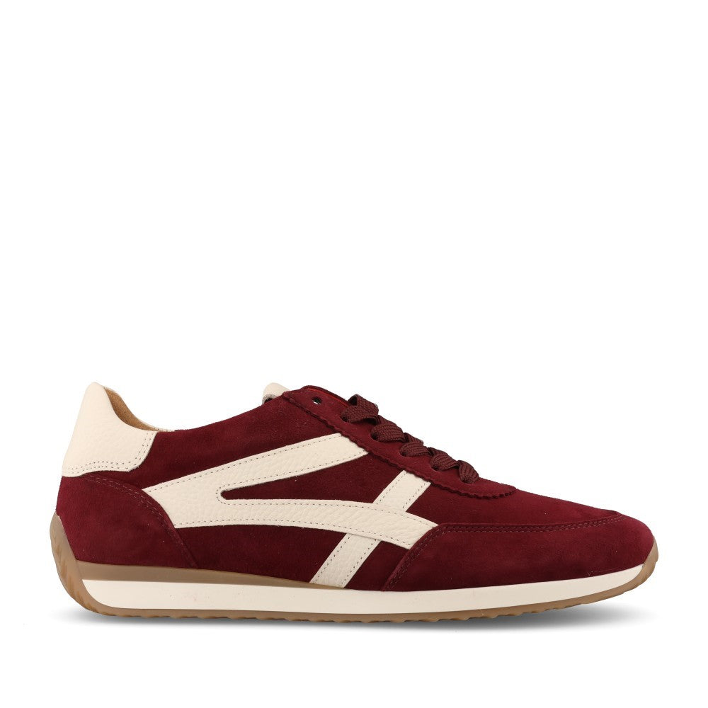 Gabor Ladies 6032.01.004 Globe Trainer In Burgundy/Cream