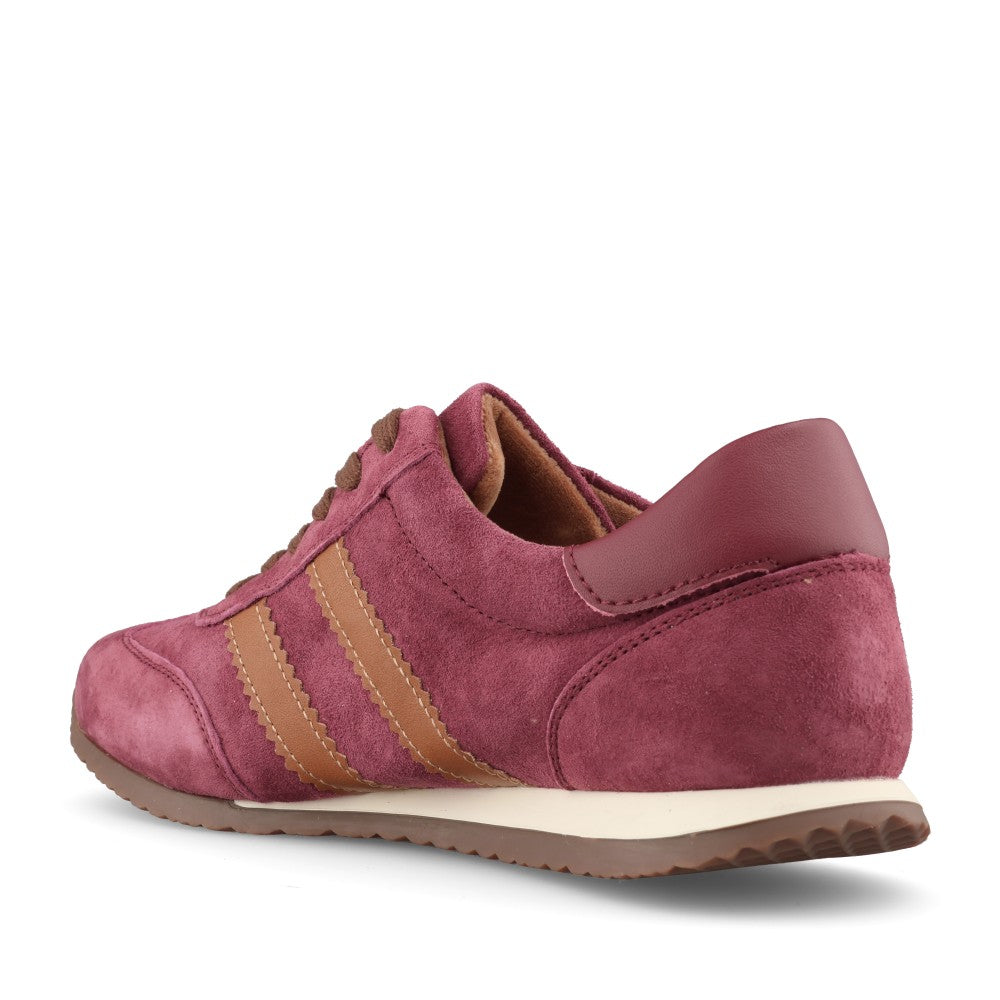 Drilleys Ladies Ninety Nine Trainer In Razzberry