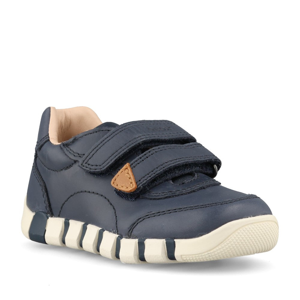 Geox Boys Iupidoo B5655B Shoe In Navy