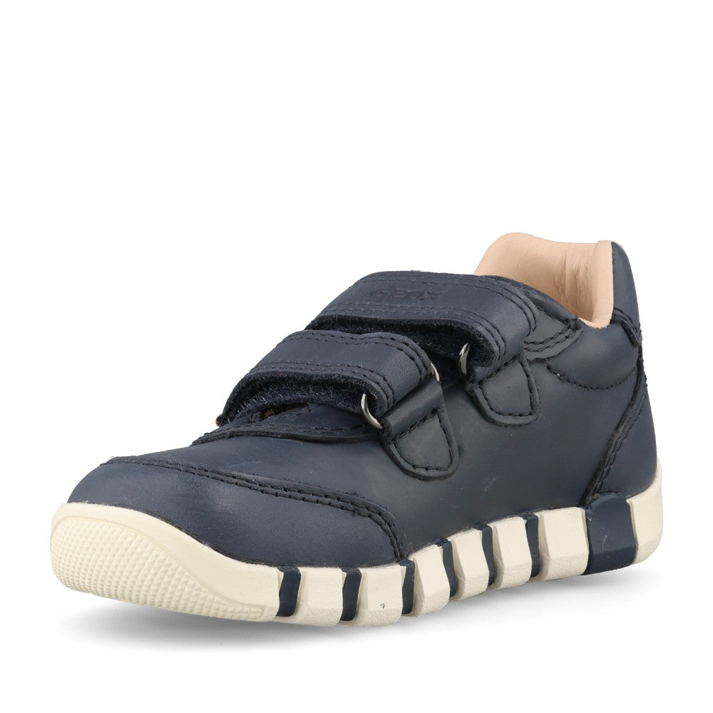 Geox Boys Iupidoo B5655B Shoe In Navy